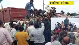 ड्राइवर दर्द से चीखता रहा, मुर्गियां लूटने में मगन रहे ग्रामीण, इंसानियत को शर्मसार कर देने वाला है मामला