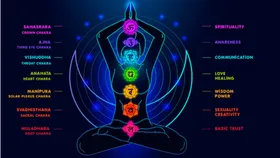 International Yoga Day: शरीर के सातों चक्रों को एक्टिव करने के लिए ये आसन हैं बेस्ट, होते हैं इतने सारे फायदे