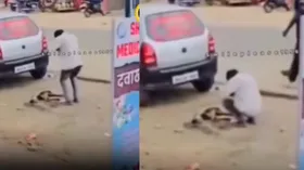 पहले कुत्ते पर चढ़ाया गाड़ी और फिर मांगी माफी, सामने आया वीडियो