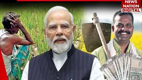 PM Kisan 20th installment Date: पीएम किसान योजना की 20वीं किस्त अटक गई तो जरूर निपटाएं ये काम!