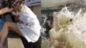 बच्ची को पानी में खींच ले गई सील, वायरल वीडियो देख सहम गए लोग