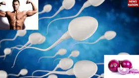 Sperm Quality: स्पर्म क्वालिटी बढ़ाने के लिए बेस्ट है प्याज, जानिए इसके खाने का सही तरीका