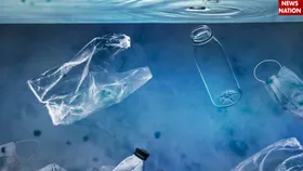 आपकी सेहत को इस तरह खा रहा है Plastic, जानिए कैसे कर रहा है शरीर में एंट्री
