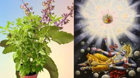 Devshayani Ekadashi 2025: देवशयनी एकादशी और तुलसी का क्या है कनेक्शन, किन 3 उपायों से मिलता है ये खास वरदान