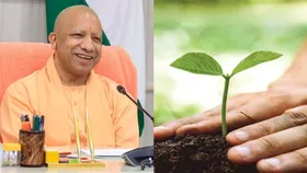 UP News: जालौन में एक दिन में रोपे जाएंगे 37 करोड़ पौधे, कार्यक्रम का हिस्सा बनेंगे सीएम योगी