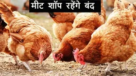 UP News: यहां 25 जुलाई तक नहीं बिकेगा नॉनवेज, कांवड़ यात्रा को लेकर आया अहम फैसला
