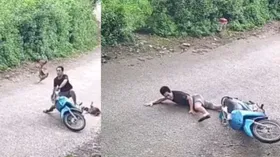 मुर्गे ने युवक को किया बुरी तरह से घायल, सामने आया वीडियो