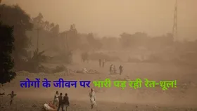 दुनियाभर में हर साल रेत और धूल से समय से पहले जा रही 70 हजार से ज्यादा लोगों की जान, रिपोर्ट में हुआ खुलासा