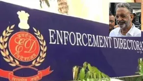 दिल्ली से गाजीपुर तक माफिया नेटवर्क की जड़ें, मुख्तार अंसारी केस में ED का बड़ा एक्शन