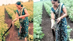 न डरी न सहमी, महिला ने हाथ से पकड़ा दुनिया का सबसे खतरनाक सांप