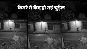 कैमरे में लाइव कैद हो गई चुड़ैल, अब सोशल मीडिया पर वायरल हो रहा video
