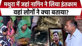 Mathura Snake Attack: सिहोरा गांव में सांप ले रहा अपने बच्चे की मौत का बदला, चौंका देगी वीडियो