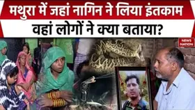 Mathura Snake Attack: Sirohi गांव में सांप ले रहा अपने बच्चे की मौत का बदला, रिपोर्ट में बड़ा खुलासा