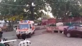 UP Accident News: यमुना एक्सप्रेसवे पर सुबह-सुबह भीषण हादसा, पिता-पुत्र सहित 6 लोगों की मौत