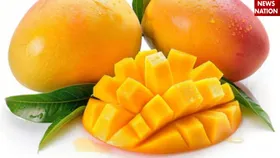 शरीर की ये 3 बीमारियां दूर कर सकता है फलों का राजा, National Mango Day पर जानिए आम के फायदे