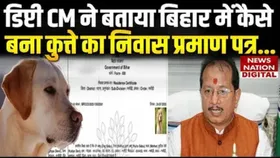 Bihar: कुत्ते का कैसे बन गया निवास प्रमाण पत्र, डिप्टी सीएम विजय सिन्हा का आया मामले पर बयान