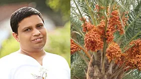 किडनी से लेकर प्रोस्टेट तक कई रोगों में है ये लाभकारी, आचार्य बालकृष्ण ने बताए इसके औषधीय गुण