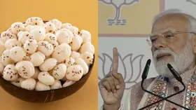 Bihar Election Results 2025: “मखाने की खीर वाली जीत! पीएम मोदी बोले, ‘फिर एक बार NDA सरकार’