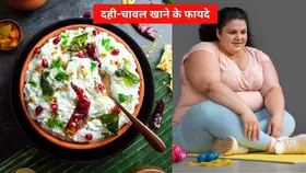 Curd Rice Benefits: घी की तरह पिघल जाएगी शरीर की चर्बी, बॉडी को परफेक्ट लुक देने के लिए खाएं दही-चावल