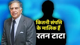Ratan Tata Net Worth: अपने पीछे इतनी संपत्ति छोड़गए रतन टाटा, नेट वर्थ जानकर आप भी हो जाएंगे हैरान