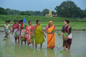 झारखंड के धान रोपाई का ‘उत्सव’ परवान पर, ‘कादो-कीचड़ भरे’ खेतों में उतर रहे मंत्री, विधायक और अफसर