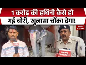 Jharkhand: बिहार में पलामू से चोरी की गई एक करोड़ की हथिनी