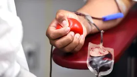 World Blood Donor Day 2025: ब्‍लड डोनेट करने से पहले इन बातों का रखें ध्यान, नहीं तो हो सकता है सेहत को भारी नुकसान