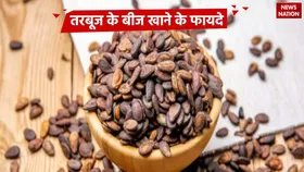 गर्मियों में ऐसे खाएं तरबूज के बीज, कब्ज समेत इन समस्याओं से मिलेगा राहत