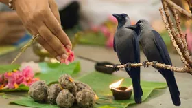 दर्श अमावस्या : पितरों की शांति और सुख-समृद्धि का दिन