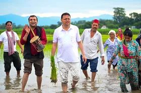 सीएम धामी ने खटीमा में की धान रोपाई, किसानों के श्रम को किया नमन