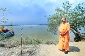 उत्तर प्रदेश में बनेगा नया रिकॉर्ड, लगेंगे 37 करोड़ पौधे
