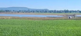 मध्य प्रदेश : दमोह में किसान सम्मान निधि ने दिया किसानों को आर्थिक संबल, लोगों ने पीएम मोदी का जताया आभार