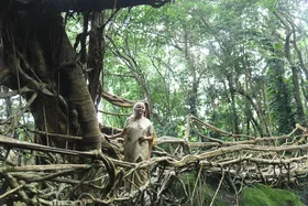 वित्त मंत्री निर्मला सीतारमण ने किया लीविंग रूट ब्रिज का दौरा, कहा- सस्टेनेबल फ्यूचर को मिल रहा बढ़ावा