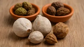 छोटी हरड़: प्रकृति का उपहार, आपके संपूर्ण स्वास्थ्य का रक्षक