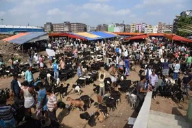 बकरीद को लेकर राज्य सरकारें अलर्ट, प्रतिबंधित कुर्बानी और सोशल मीडिया पर सख्त नजर
