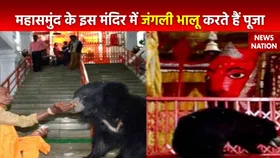 Rahasya : Chhattisgarh के महासमुंद स्थित इस मंदिर में पूजा करने आते है जंगली भालू