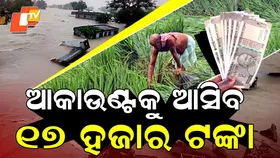 Compensation for Crop Loss: ଚାଷୀଙ୍କୁ ମିଳିବ ୧୭ ହଜାର; ଆବେଦନ ଶେଷ ତାରିଖ ଅକ୍ଟୋବର ୮