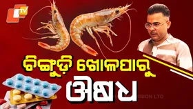 Scientific Marvel: କମାଲ କଲେ ଯୁବ ବୈଜ୍ଞାନିକ, ଚିଙ୍ଗୁଡ଼ି ଖୋଳପାରୁ ତିଆରି ହେଉଛି ଔଷଧ !
