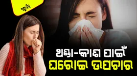 Health Tips: ଆପଣ ଥଣ୍ଡା-କାଶରେ ପୀଡିତ କି… ଡାକ୍ତର ପାଖକୁ ନ ଯାଇ କରନ୍ତୁ ଏହି ୫ ଘରୋଇ ଉପଚାର