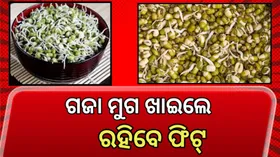 Mung Bean Sprouts Health Benefits: ପ୍ରତିଦିନ ଗଜାମୁଗ ଖାଆନ୍ତୁ , ମିଳିବ ଏହି ସବୁ ଫାଇଦା