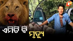 Bangkok Zoo Horror: ଏମିତି ମୃତ୍ୟୁ କେହି କେବେ ଭାବିନଥିବେ ! ଖିନଭିନ କରି ମାରିଲେ...୧୫ ମିନିଟ ଧରି ଝୁଣି ପକାଇଲେ