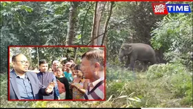 Clash Erupts in Assam’s Nalbari Between Locals & Forest Officials Amid Elephant Chase