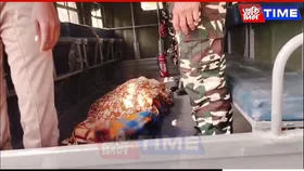 Assam: SSB Jawan Commits Suicide at Bejpara SSB Camp