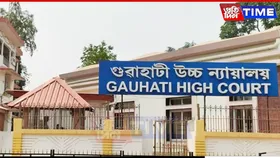 Gauhati HC Grills Govt Over 3,000 Bighas Tribal Land Allotment to Cement Firm