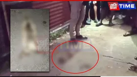 Tension in Goalpara After Cow Head Found Near Temple Road; Investigation Underway