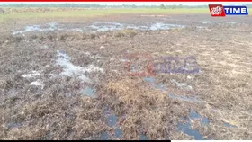 Assam: Crude Oil Leak from ONGC Pipeline Damages Farmland in Nazira