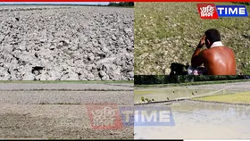 Majuli Farmers Cry for Help as Drought Deepens; Slam Irrigation Dept’s Inaction
