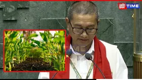 Centre Allocates ₹10.76 Cr for Organic Farming in Assam’s Hill Districts