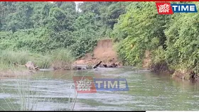 Sille River’s Advance Could Wipe Out Poba Forest — And the Livelihoods Around It