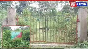 Rs 20 Lakh CAMPA Scheme Fails in Doomdooma; 95% of Hollong Saplings Lost